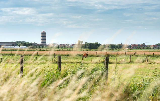 New Village Park - Photo 2