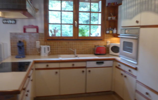 Marguerite - Photo 4