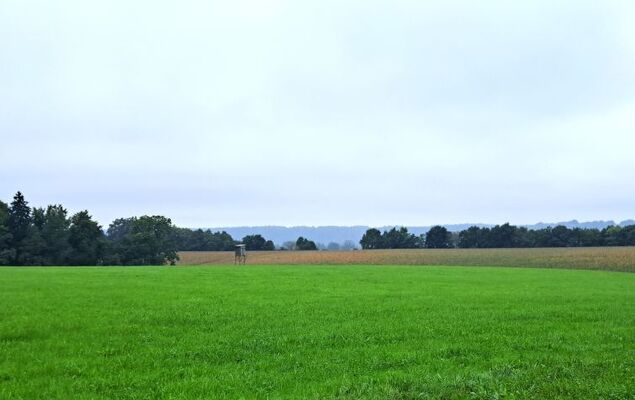 Lindnerhof - Photo 32