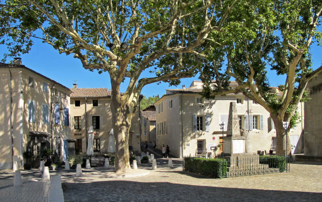 L' amandier - Photo 33