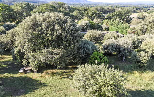 La Chênaie - Photo 42